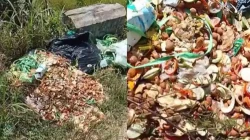 Viral Dugaan Limbah Program MBG Dibuang Sembarangan di Cisaat, Ketua Komisi IV DPRD Sukabumi Minta Tindakan Tegas